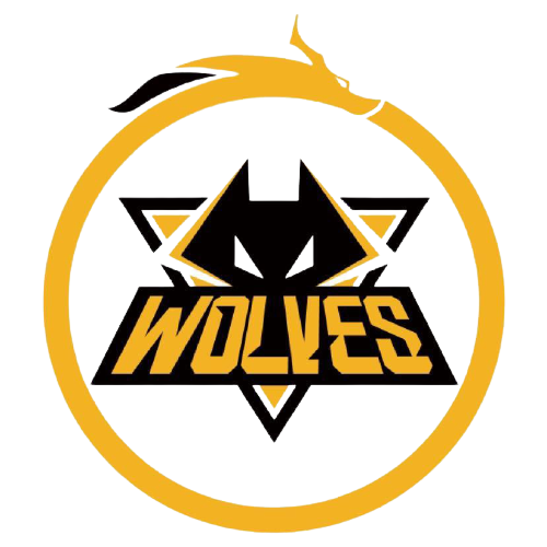 内从场地的 内从场地的