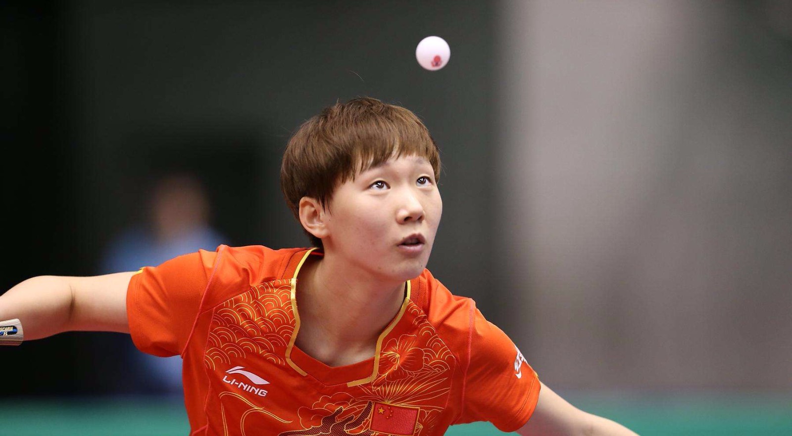 的特点和风 的特点和风