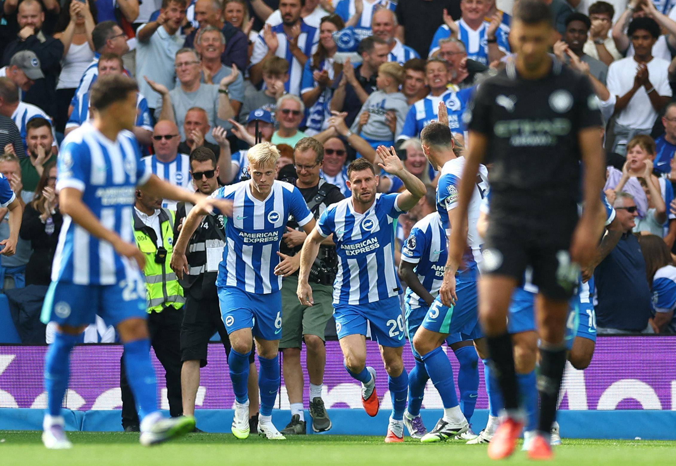 这是典型的 这是典型的